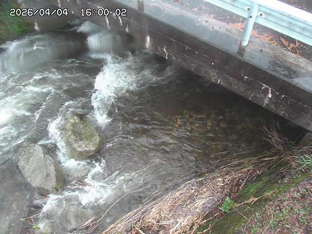 八河谷川１2026/04/05 3:30:00