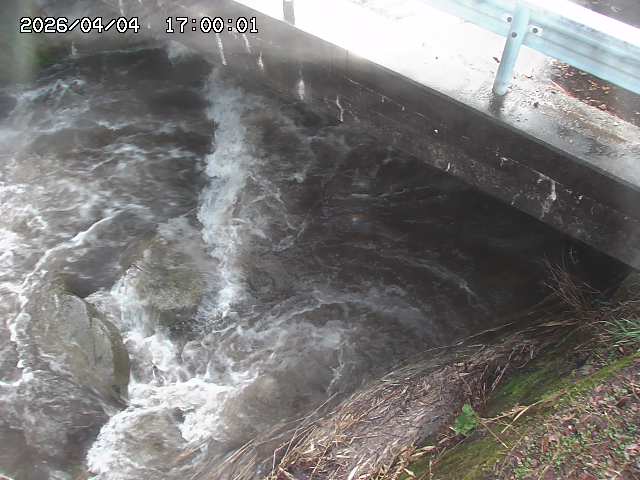 八河谷川１2026/04/05 3:30:00