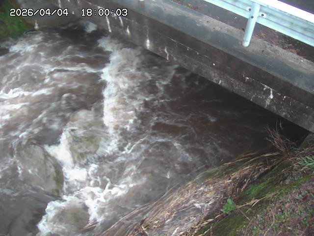 八河谷川１2026/04/05 3:30:00