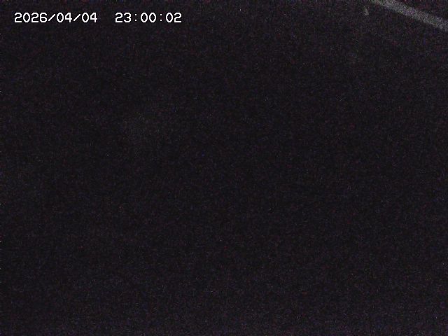 八河谷川１2026/04/05 3:30:00