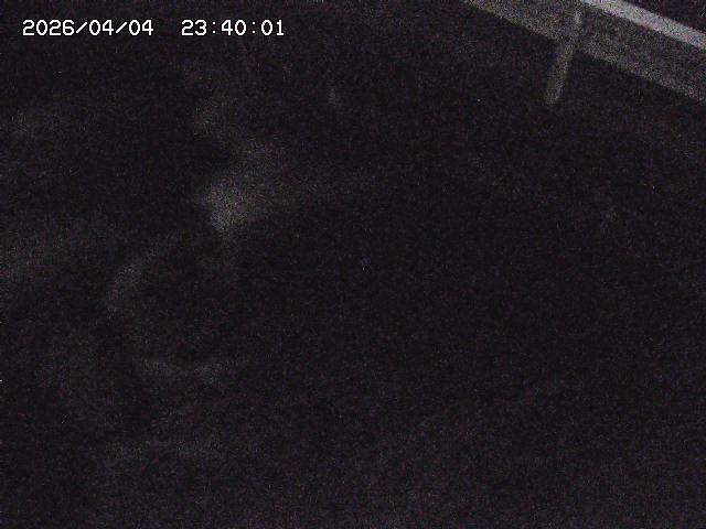 八河谷川１2026/04/05 3:30:00