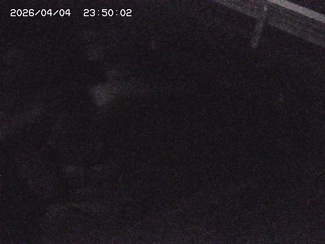 八河谷川１2026/04/05 3:30:00