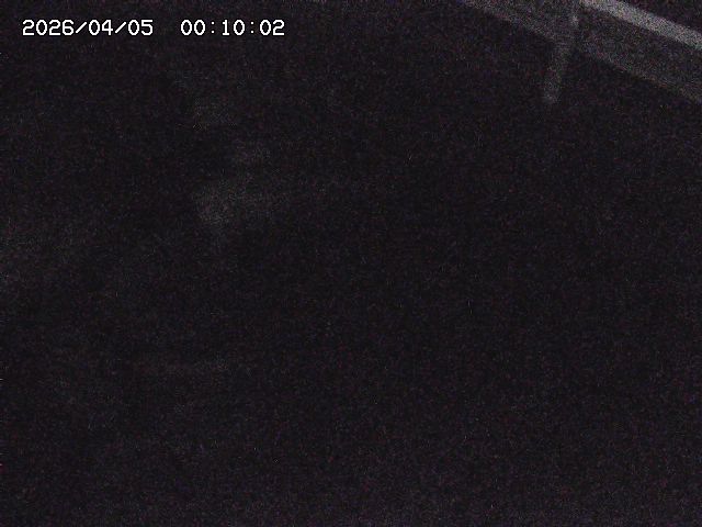 八河谷川１2026/04/05 3:30:00