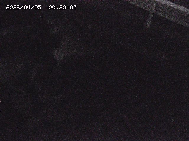 八河谷川１2026/04/05 3:30:00