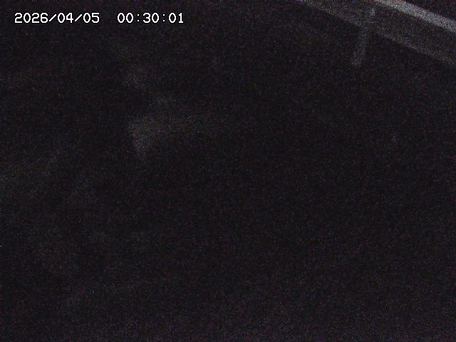 八河谷川１2026/04/05 3:30:00