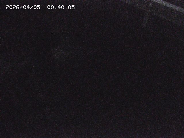 八河谷川１2026/04/05 3:30:00