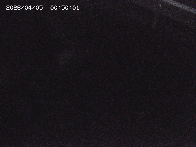 八河谷川１2026/04/05 3:30:00