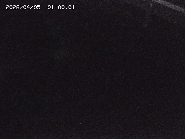 八河谷川１2026/04/05 3:30:00