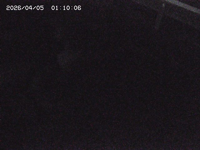 八河谷川１2026/04/05 3:30:00