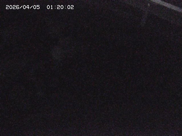 八河谷川１2026/04/05 3:30:00