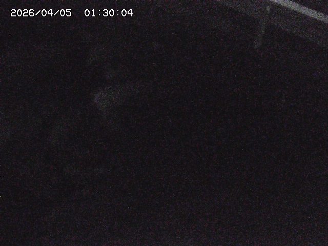 八河谷川１2026/04/05 3:30:00