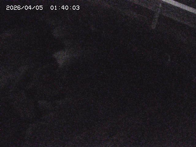 八河谷川１2026/04/05 3:30:00