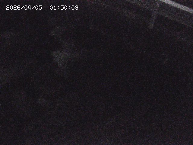 八河谷川１2026/04/05 3:30:00