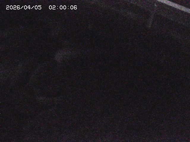 八河谷川１2026/04/05 3:30:00