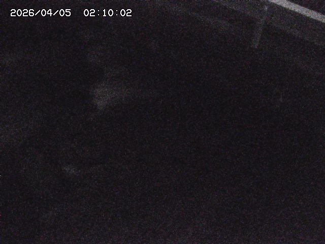 八河谷川１2026/04/05 3:30:00