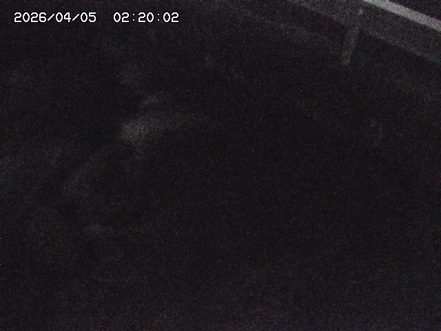 八河谷川１2026/04/05 3:30:00