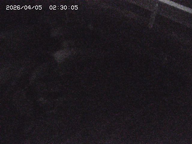 八河谷川１2026/04/05 3:30:00