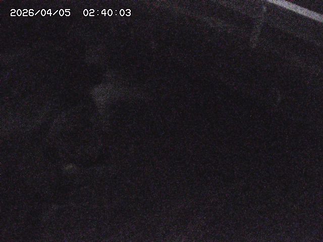 八河谷川１2026/04/05 3:30:00