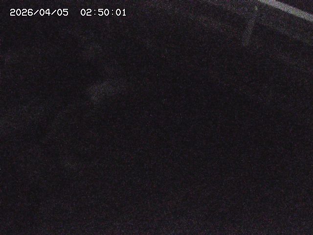 八河谷川１2026/04/05 3:30:00