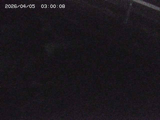 八河谷川１2026/04/05 3:30:00