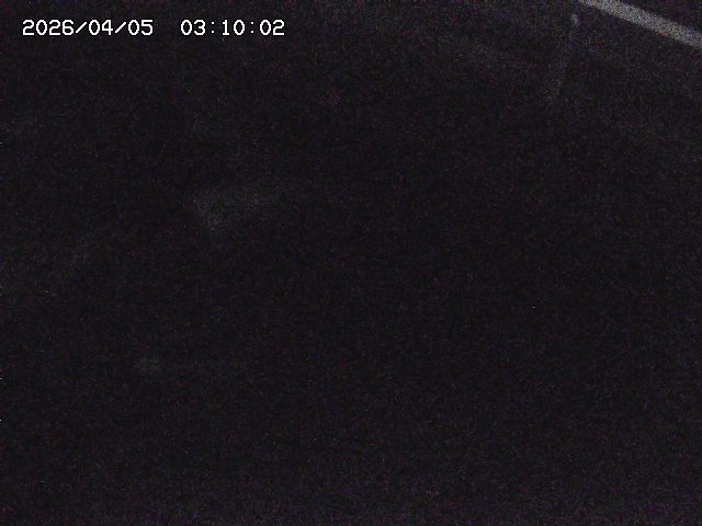 八河谷川１2026/04/05 3:30:00