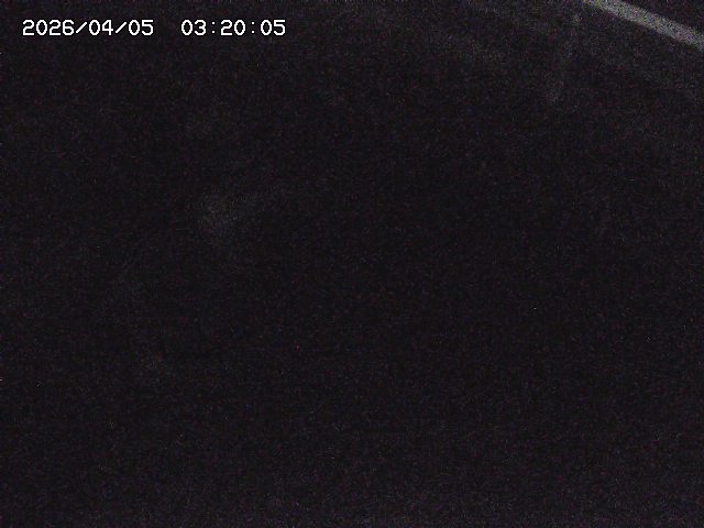 八河谷川１2026/04/05 3:30:00