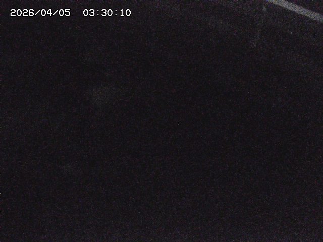 八河谷川１2026/04/05 3:30:00