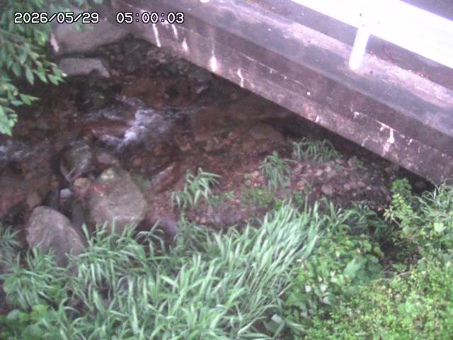 八河谷川１2026/05/30 3:30:00