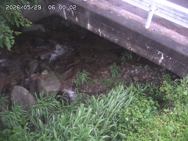 八河谷川１2026/05/30 3:30:00