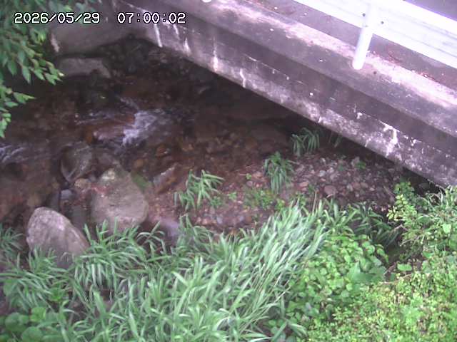 八河谷川１2026/05/30 3:30:00