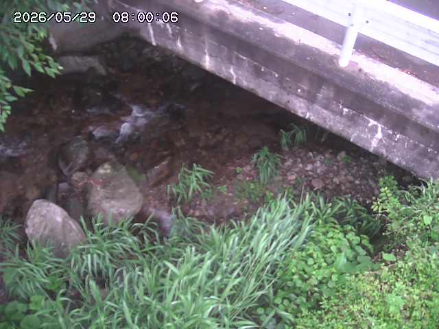 八河谷川１2026/05/30 3:30:00