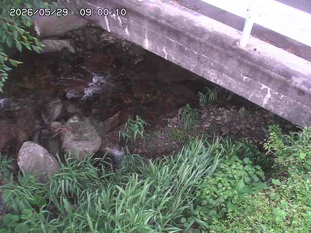 八河谷川１2026/05/30 3:30:00