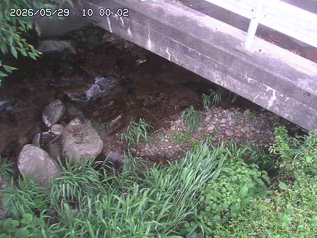 八河谷川１2026/05/30 3:30:00