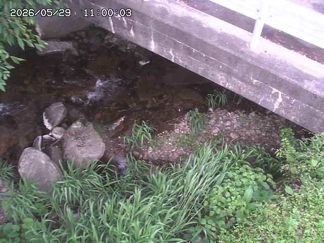 八河谷川１2026/05/30 3:30:00