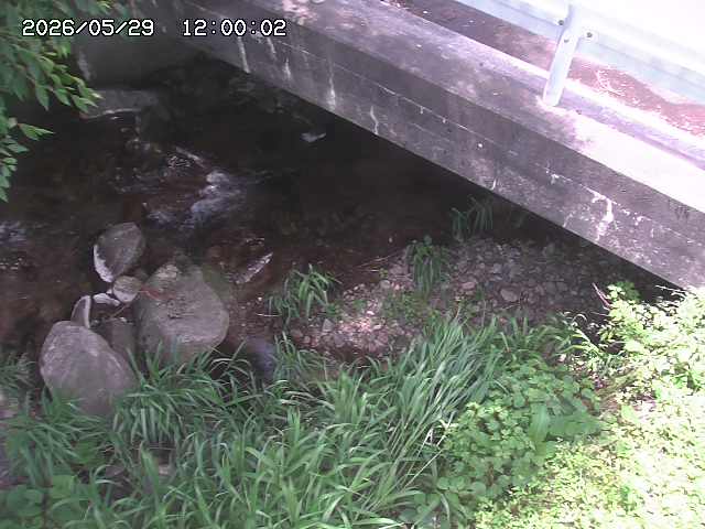 八河谷川１2026/05/30 3:30:00