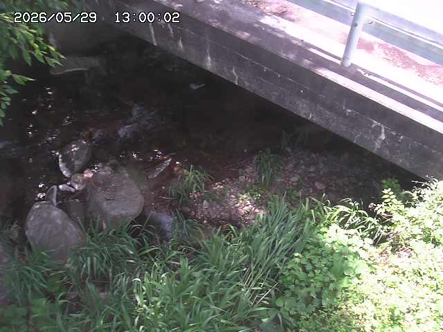 八河谷川１2026/05/30 3:30:00