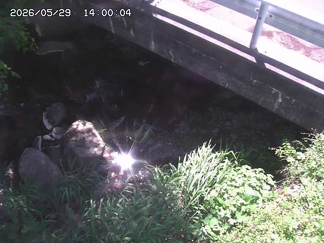 八河谷川１2026/05/30 3:30:00