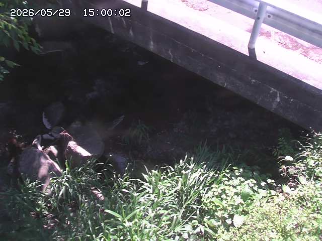 八河谷川１2026/05/30 3:30:00