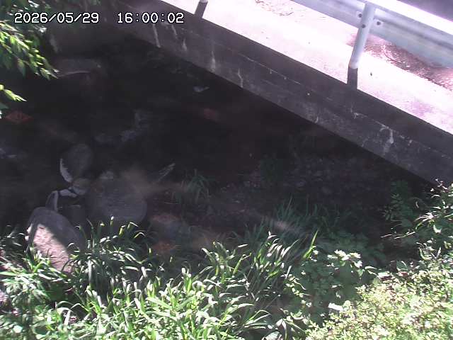 八河谷川１2026/05/30 3:30:00