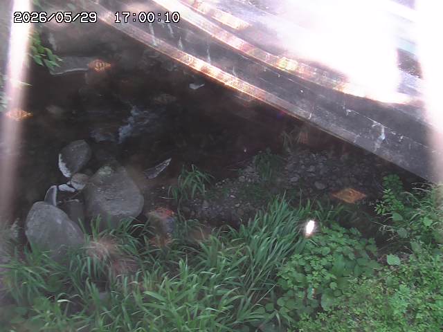 八河谷川１2026/05/30 3:30:00