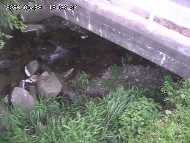 八河谷川１2026/05/30 3:30:00