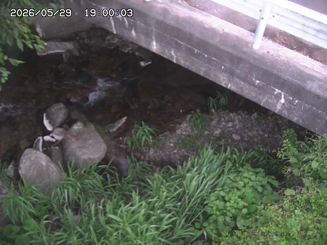 八河谷川１2026/05/30 3:30:00