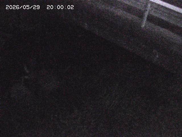 八河谷川１2026/05/30 3:30:00