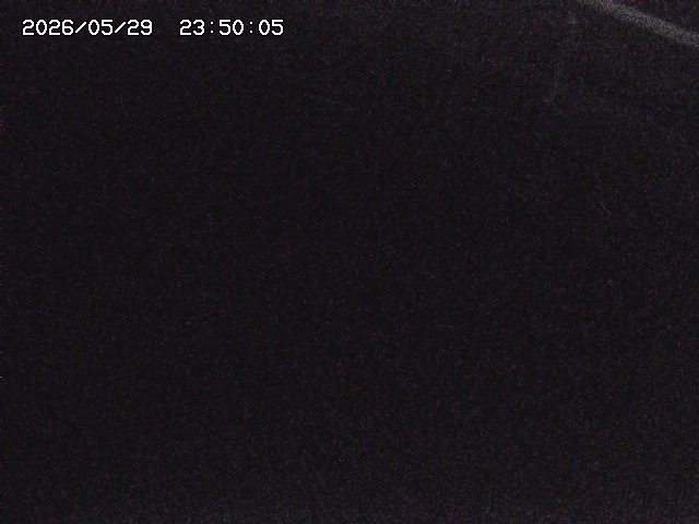 八河谷川１2026/05/30 3:30:00
