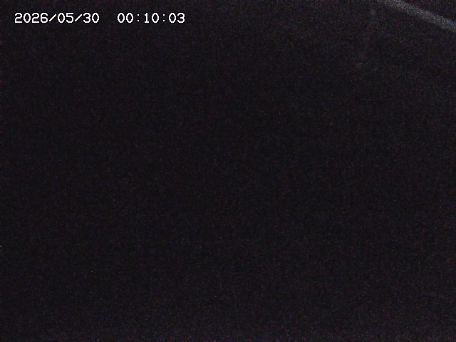 八河谷川１2026/05/30 3:30:00