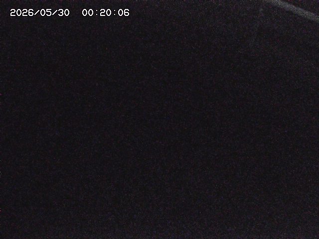 八河谷川１2026/05/30 3:30:00