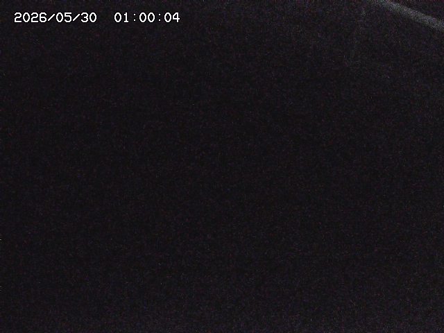 八河谷川１2026/05/30 3:30:00