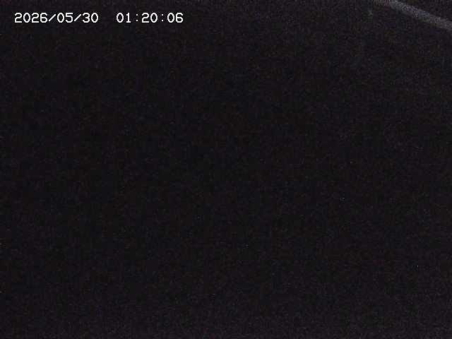 八河谷川１2026/05/30 3:30:00
