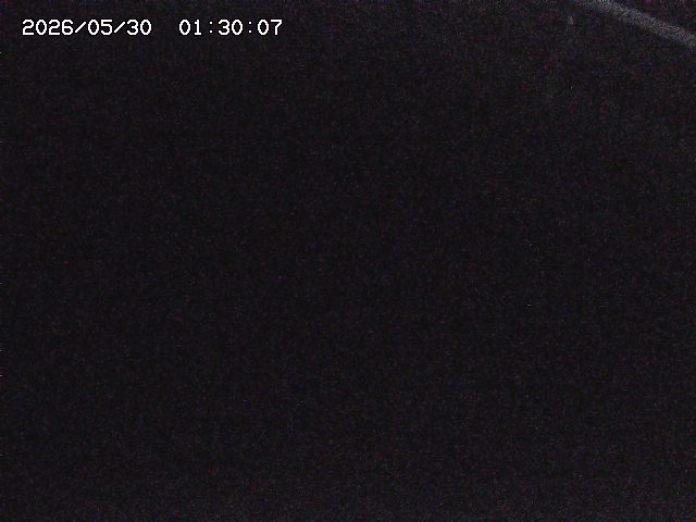八河谷川１2026/05/30 3:30:00