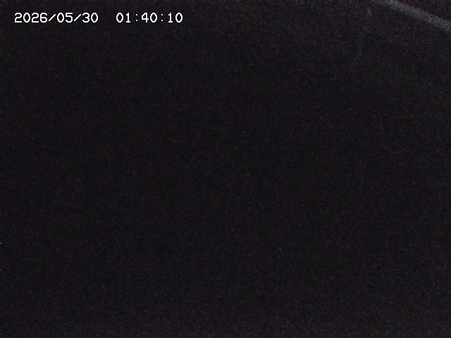 八河谷川１2026/05/30 3:30:00